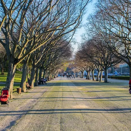 Succeed Campo Pequeno